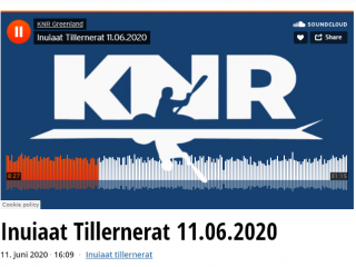 Raatiukkut aallakaatitassiaq ESANI-mut tunngasoq
